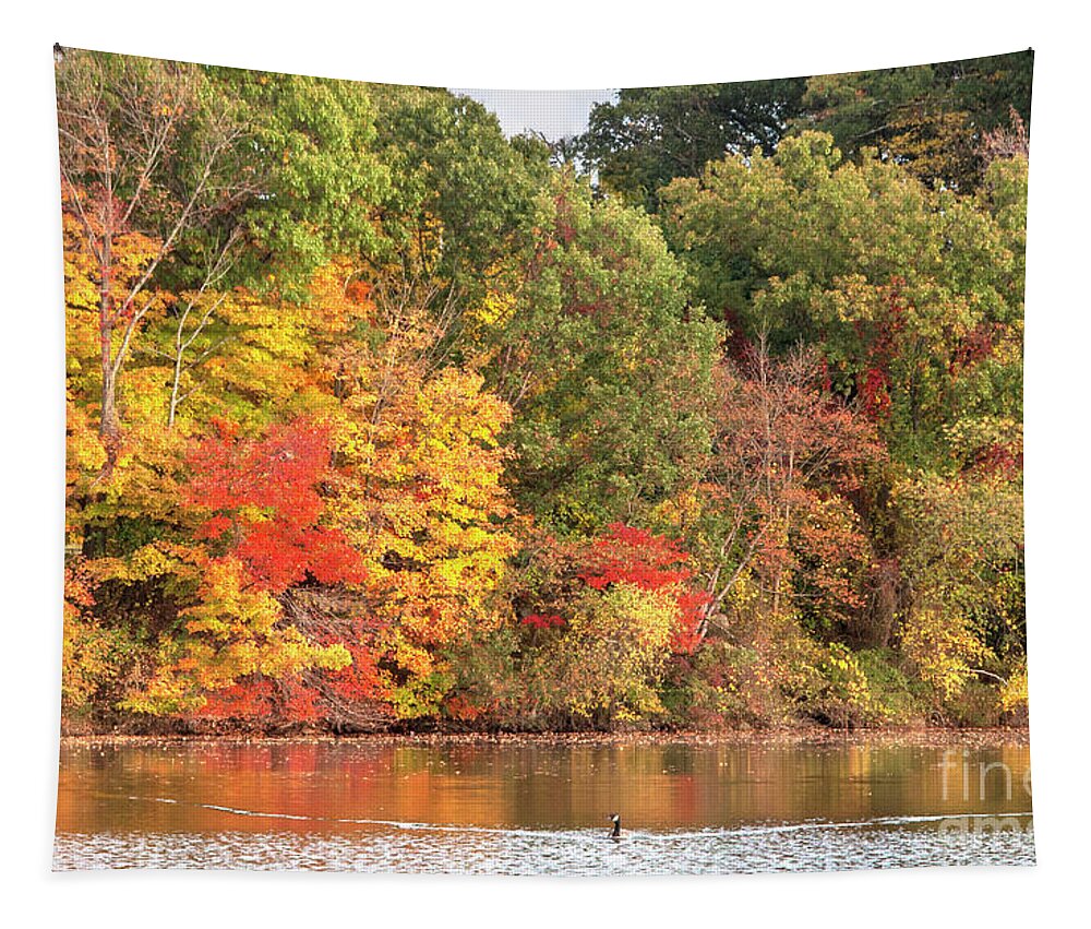 Rosemary Lake Tapestry featuring the photograph Autumn on Rosemary Lake with Canada Goose by Ilene Hoffman