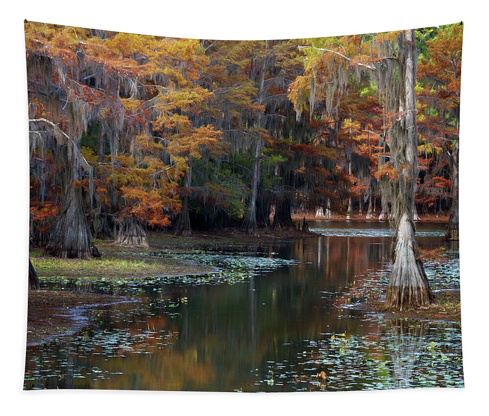 Autumn Tapestry featuring the digital art Autumn Path by Lana Trussell