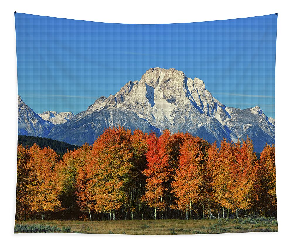 Mount Moran Tapestry featuring the photograph Autumn Peak Under Moran by Greg Norrell
