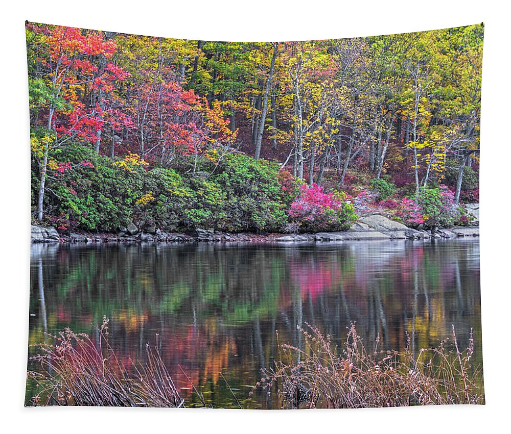 Landscapes Tapestry featuring the photograph Autumn Reflections Sketch by Angelo Marcialis