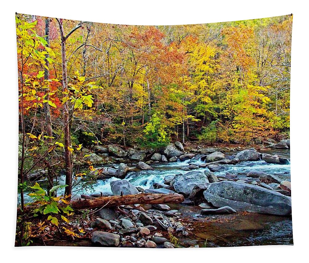 Autumn Tapestry featuring the photograph Autumn River Memories by Allen Nice-Webb