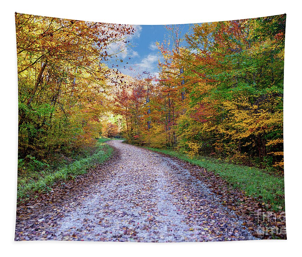 Leaf Tapestry featuring the photograph Autumn Road by Ed Taylor