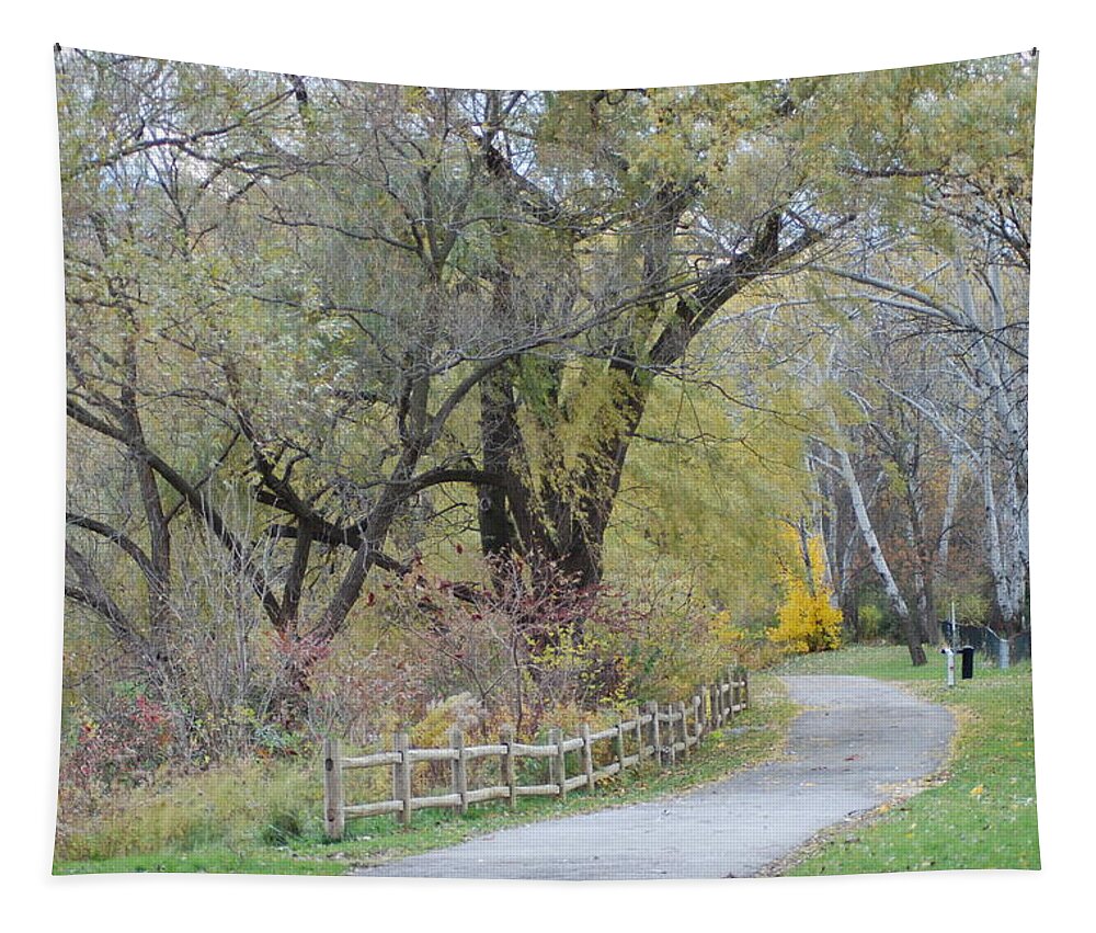  Tapestry featuring the photograph Autumn Transition 166 by Ee Photography
