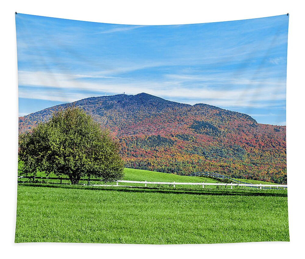 Autumn Tapestry featuring the photograph Autumn View Vermont by Tim Kirchoff