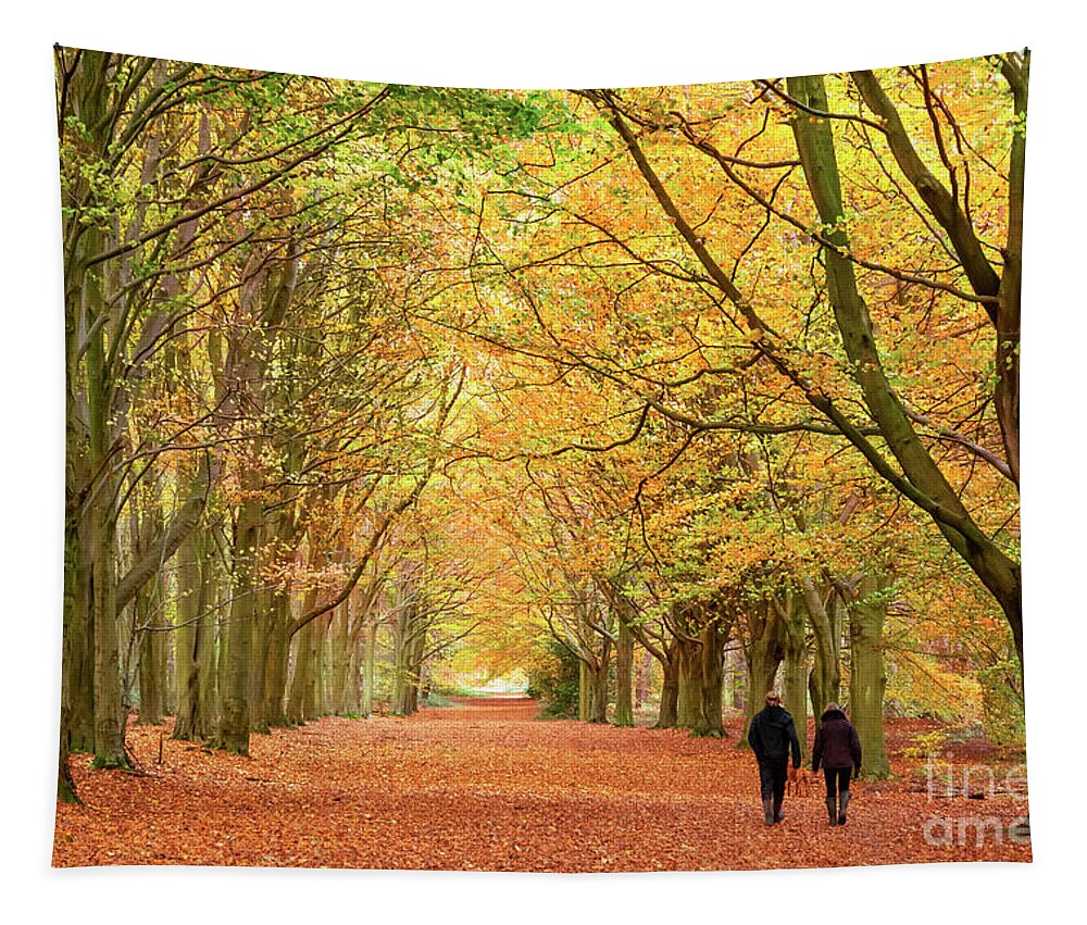 Norfolk Tapestry featuring the photograph Norfolk autumn walk in the woodland by Simon Bratt