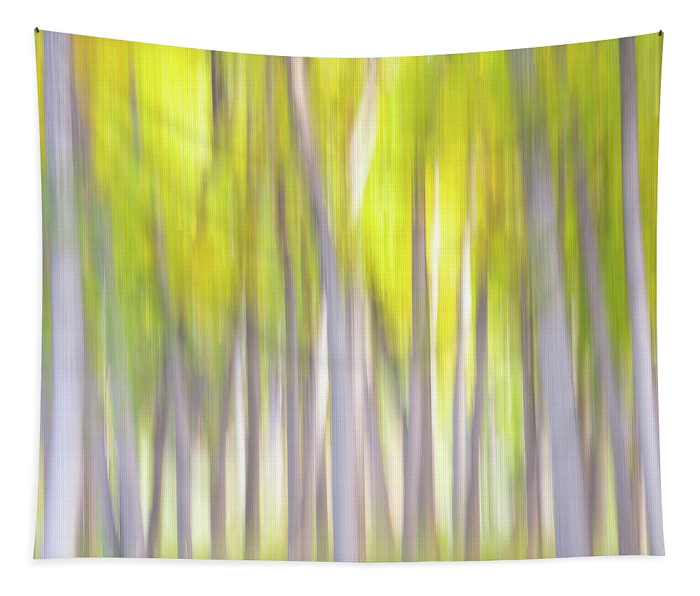 Autumn Tapestry featuring the photograph Autumn Whispers by Darren White