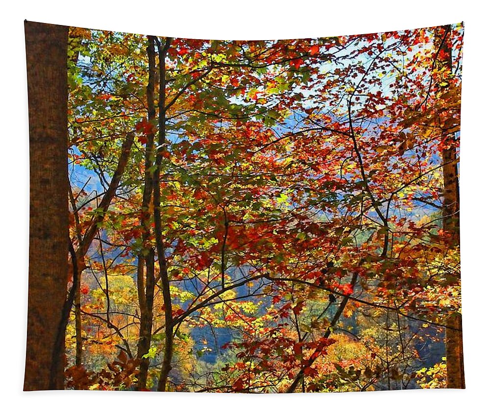 Autumn Foliage Tapestry featuring the photograph Autumn's Canvas by HH Photography of Florida