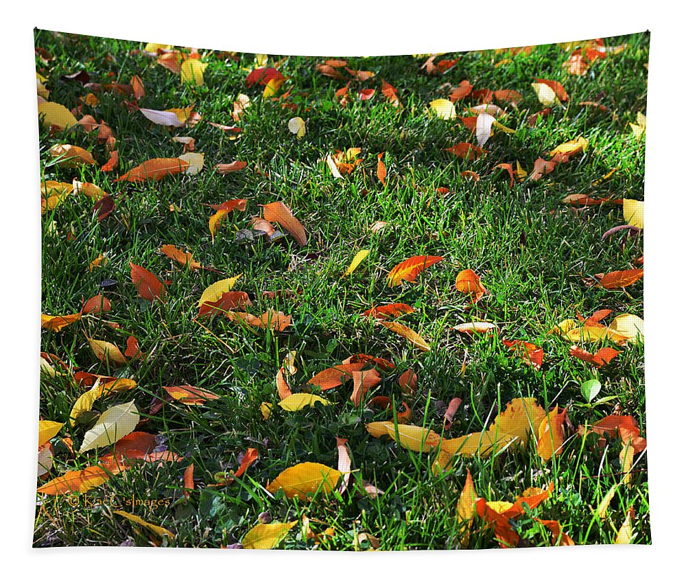Grass Tapestry featuring the photograph Autumn's Confetti by Kae Cheatham