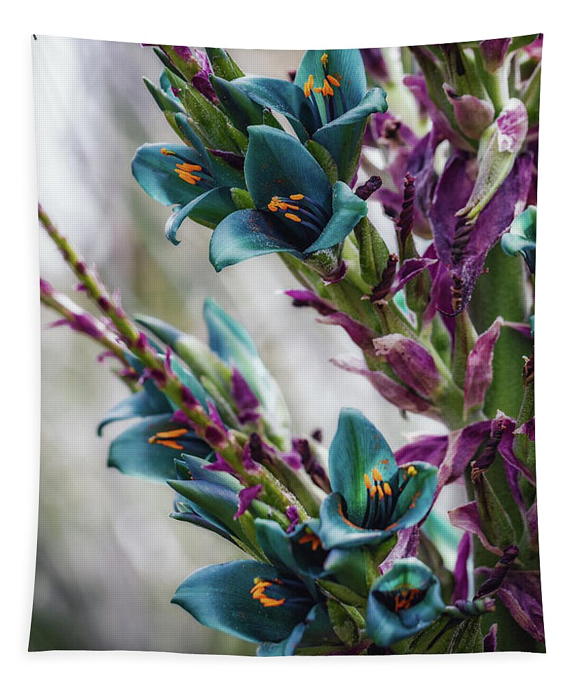 Flower Tapestry featuring the photograph Azure Dreams by Laura Roberts