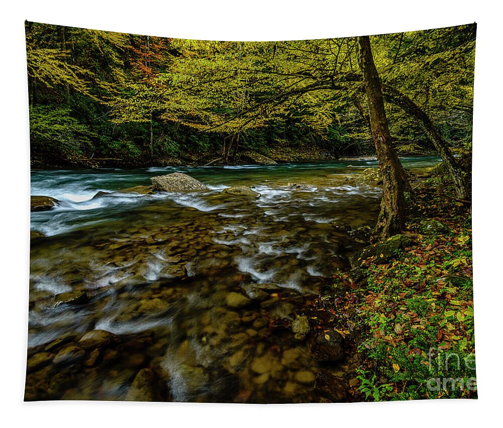 Elk River Tapestry featuring the photograph Back Fork of Elk River Fall by Thomas R Fletcher
