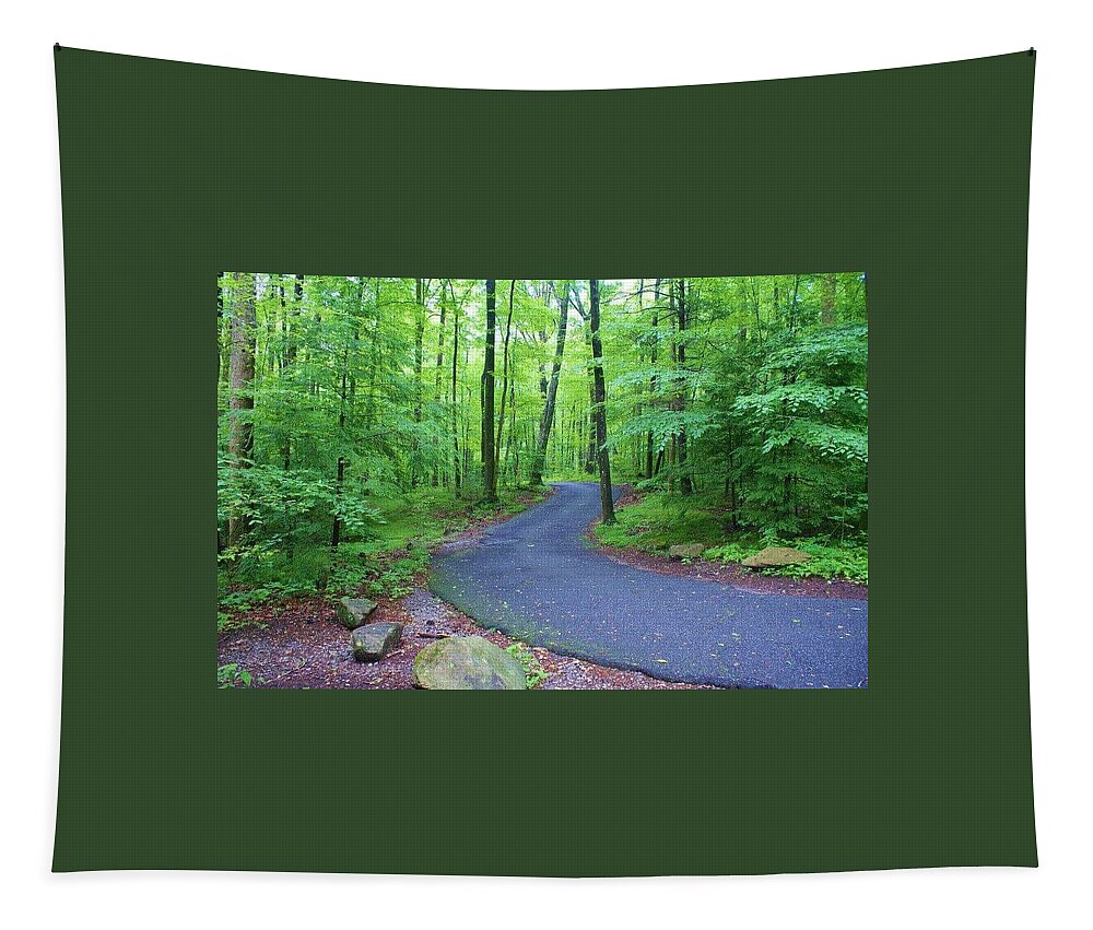  Tapestry featuring the photograph Back Road in Tennessee by Lindsey Floyd