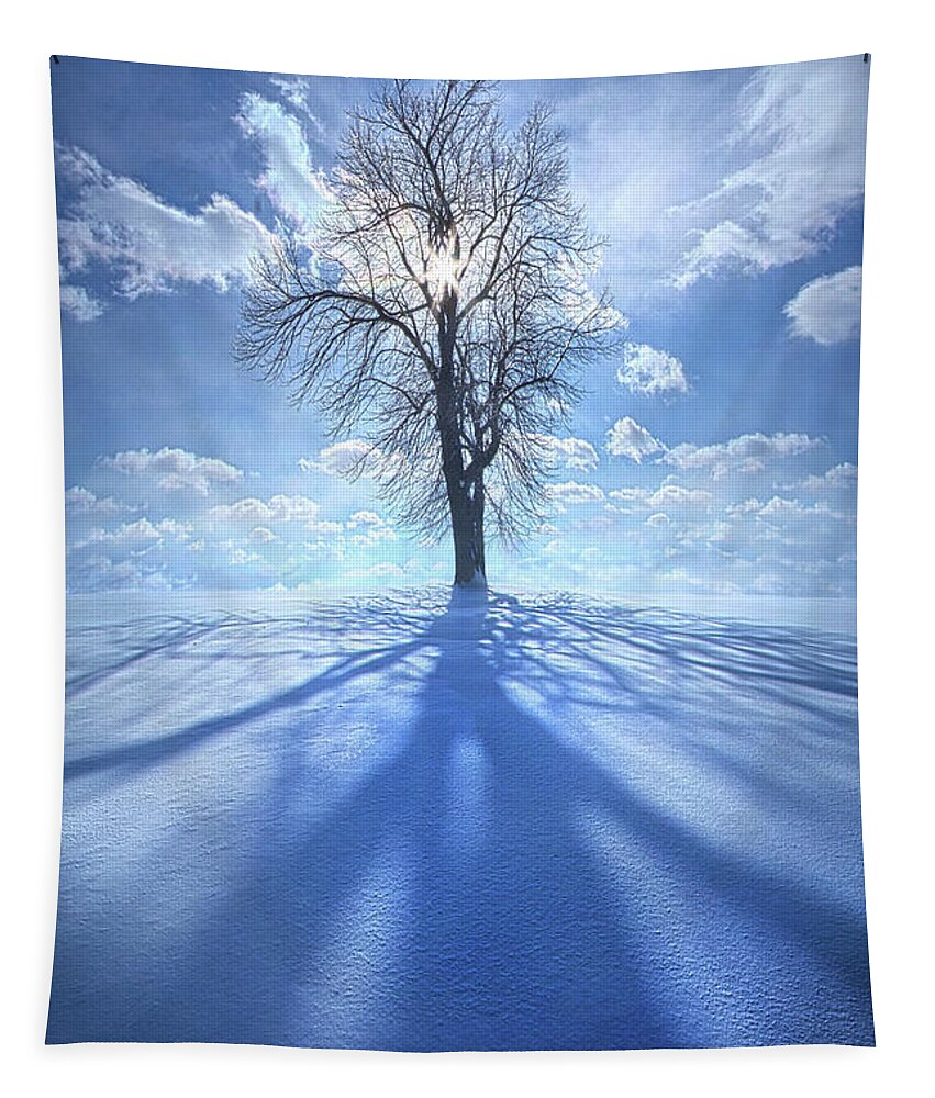 Inspirational Tapestry featuring the photograph Back When Days Were Warm by Phil Koch