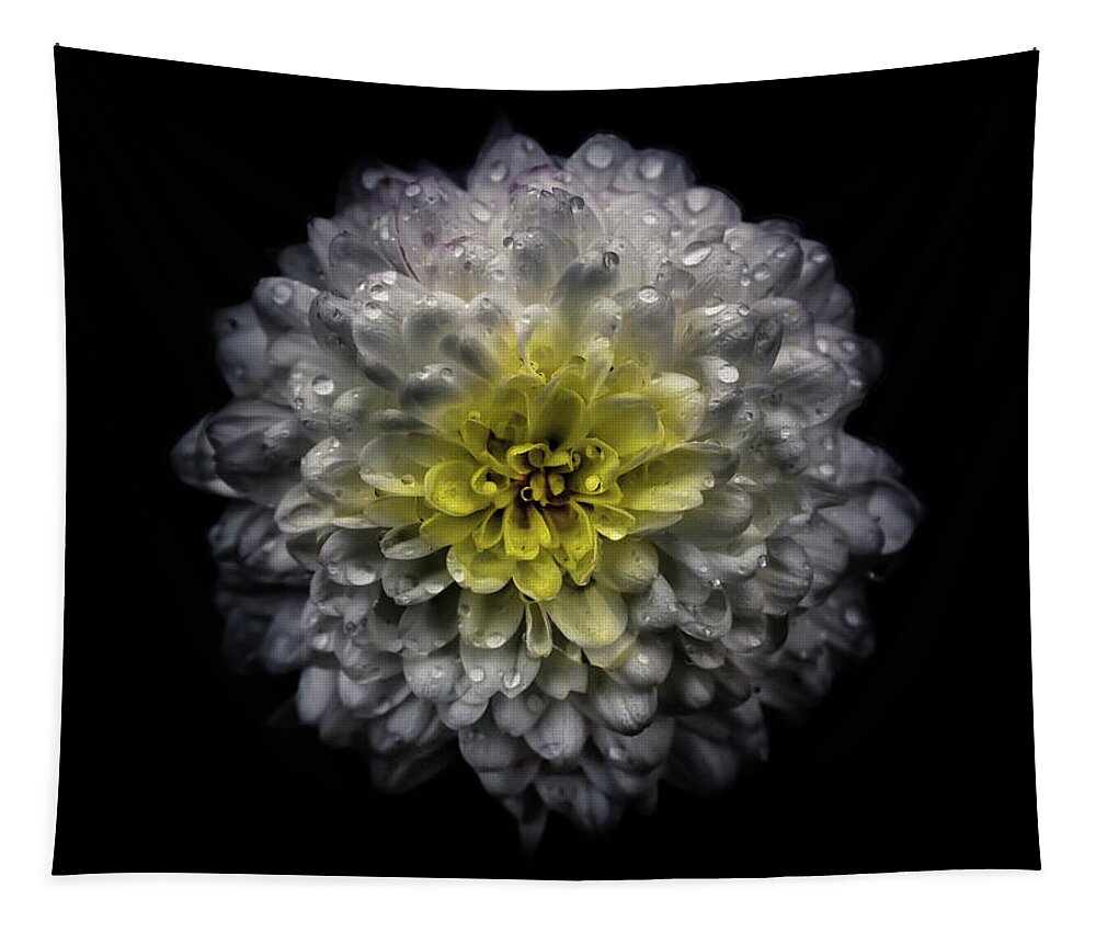 Brian Carson Tapestry featuring the photograph Backyard Flowers 46 Color Version by Brian Carson