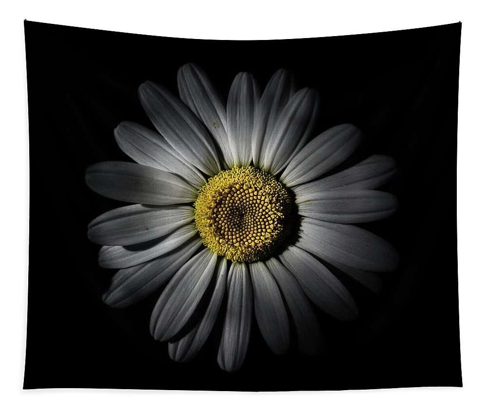 Brian Carson Tapestry featuring the photograph Backyard Flowers 52 Color Version by Brian Carson
