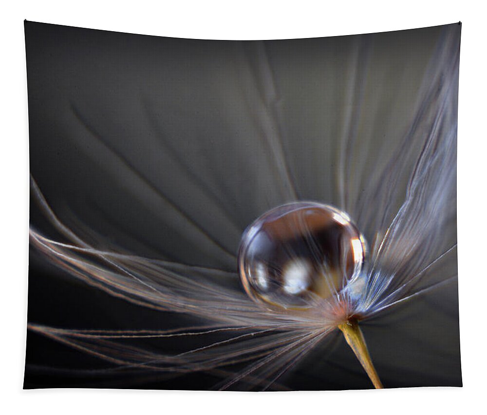 Macro Photograph Tapestry featuring the photograph Balanced by Michelle Wermuth