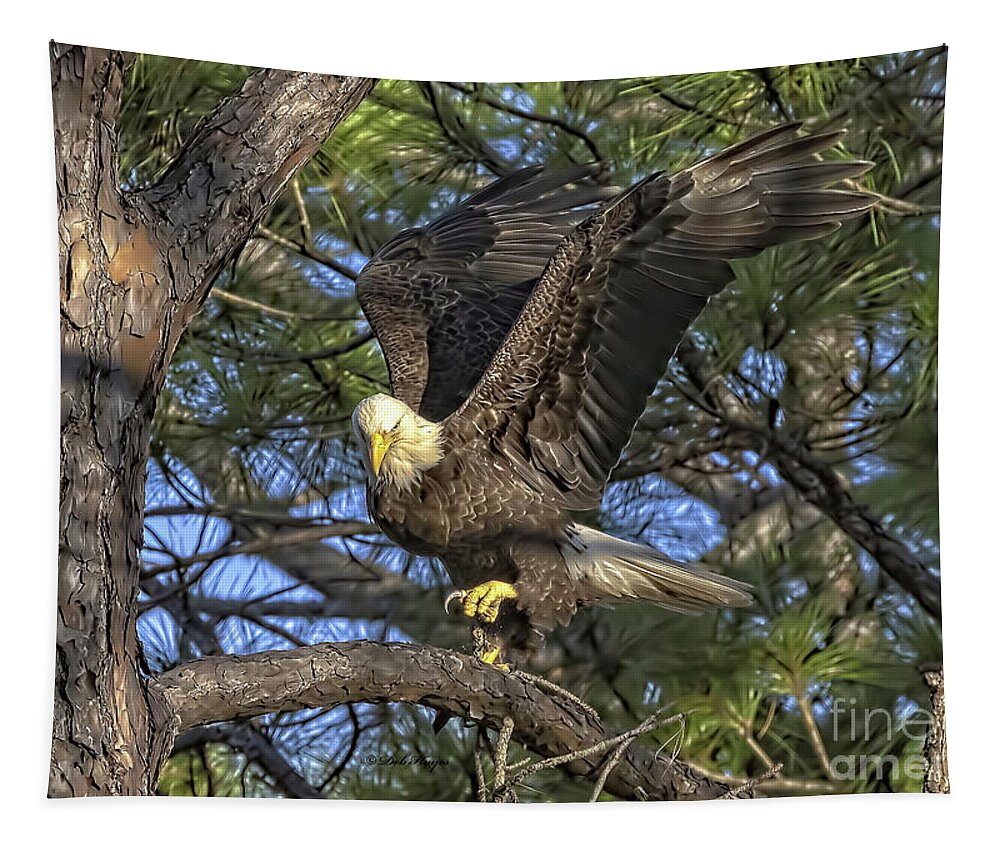 Eagles Tapestry featuring the photograph Bald Eagle by DB Hayes