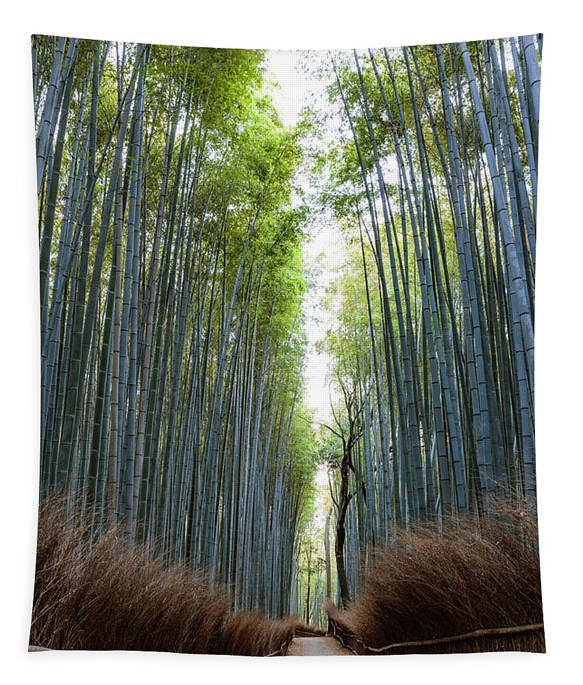 Bamboo Forest Tapestry featuring the photograph Bamboo forest, Kyoto, Japan by Matteo Colombo