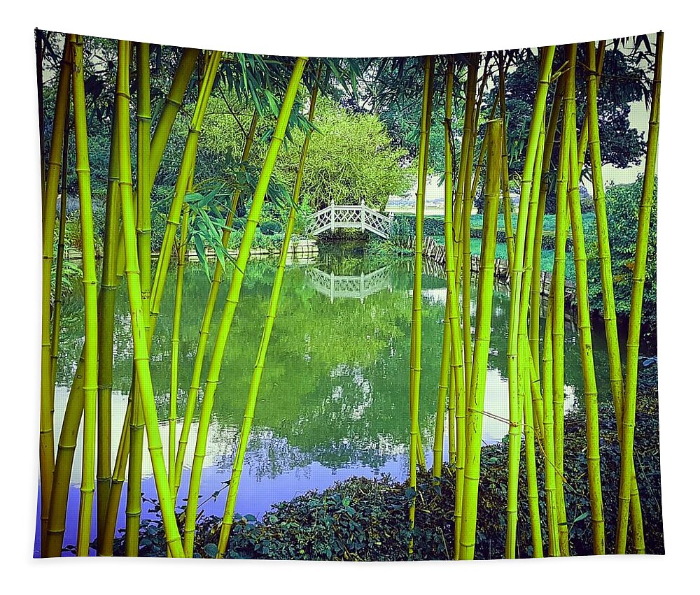 Ornatebridge Tapestry featuring the photograph Bamboo View In Vivid Green by Rowena Tutty