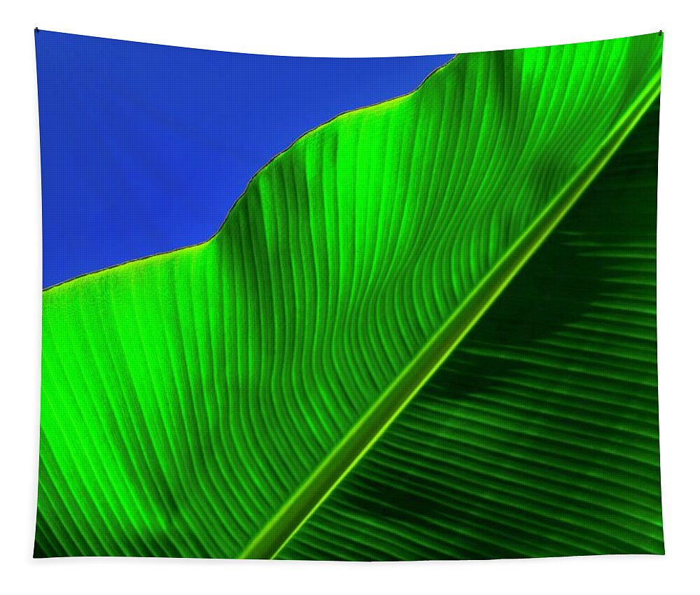 Banana Leaf Tapestry featuring the photograph Banana Tree by Debra Grace Addison