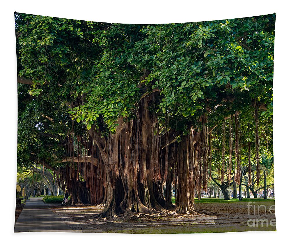 Banyan Tapestry featuring the photograph Banyan Trees in St. Petersburg, Florida by L Bosco