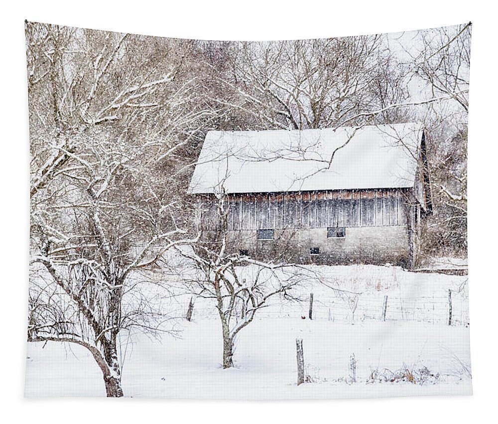 Barn Tapestry featuring the photograph Barn in the Snow #2608 by Susan Yerry