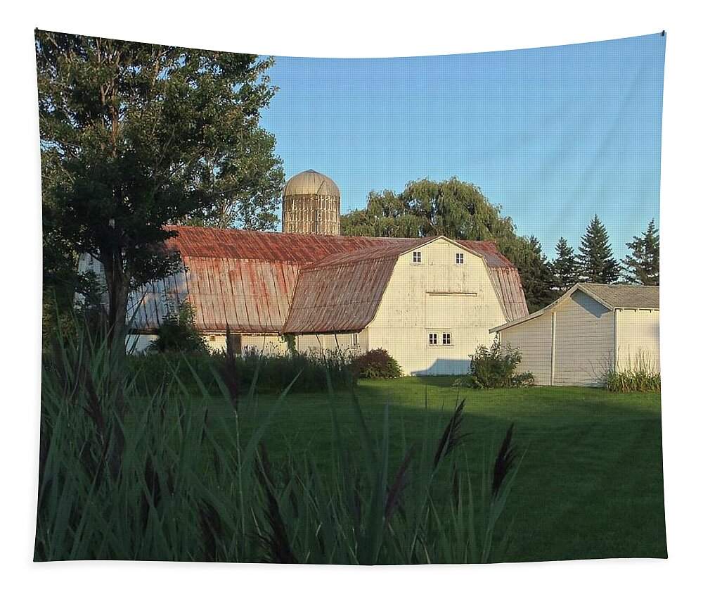 Barn Tapestry featuring the photograph Barn Light by Kathy Chism