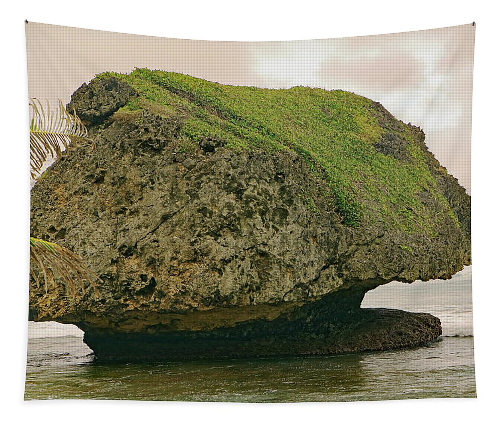 Bathsheba Tapestry featuring the photograph Bathsheba Rock by Tony Murtagh