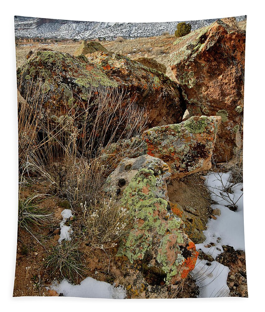 Red Point Tapestry featuring the photograph Beautiful Boulders in Red Point Wash by Ray Mathis