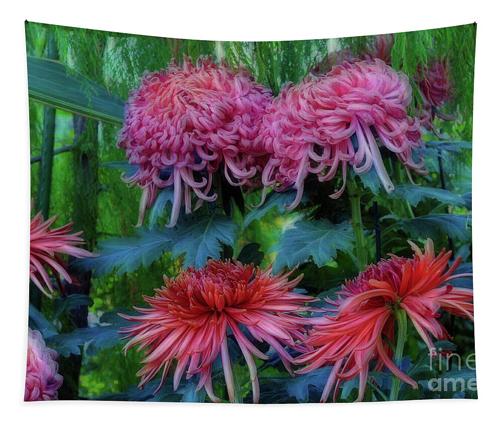 Flowers Flora Chrysanthemum Tapestry featuring the photograph Beautiful Chrysanthemums by Elaine Manley