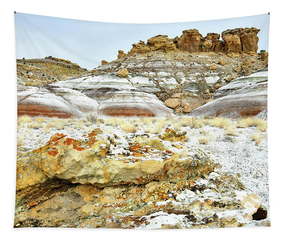 Ruby Mountain Tapestry featuring the photograph Beautiful Colors after Overnight Snow by Ray Mathis