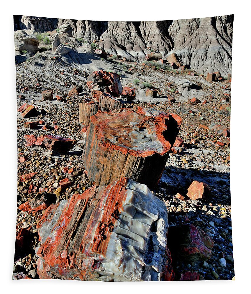 Petrified Forest National Park Tapestry featuring the photograph Beautiful Jasper Forest of Petrified Forest NP by Ray Mathis