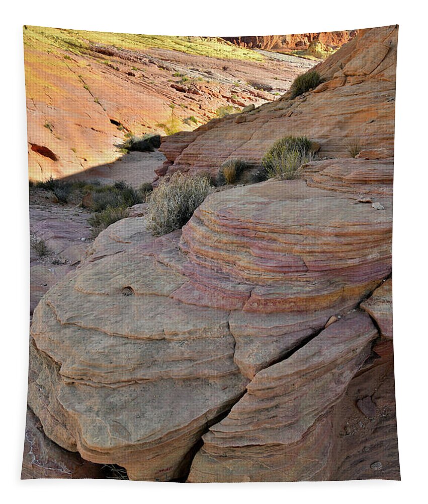 Valley Of Fire State Park Tapestry featuring the photograph Beautiful Layers of Color in Valley of Fire by Ray Mathis