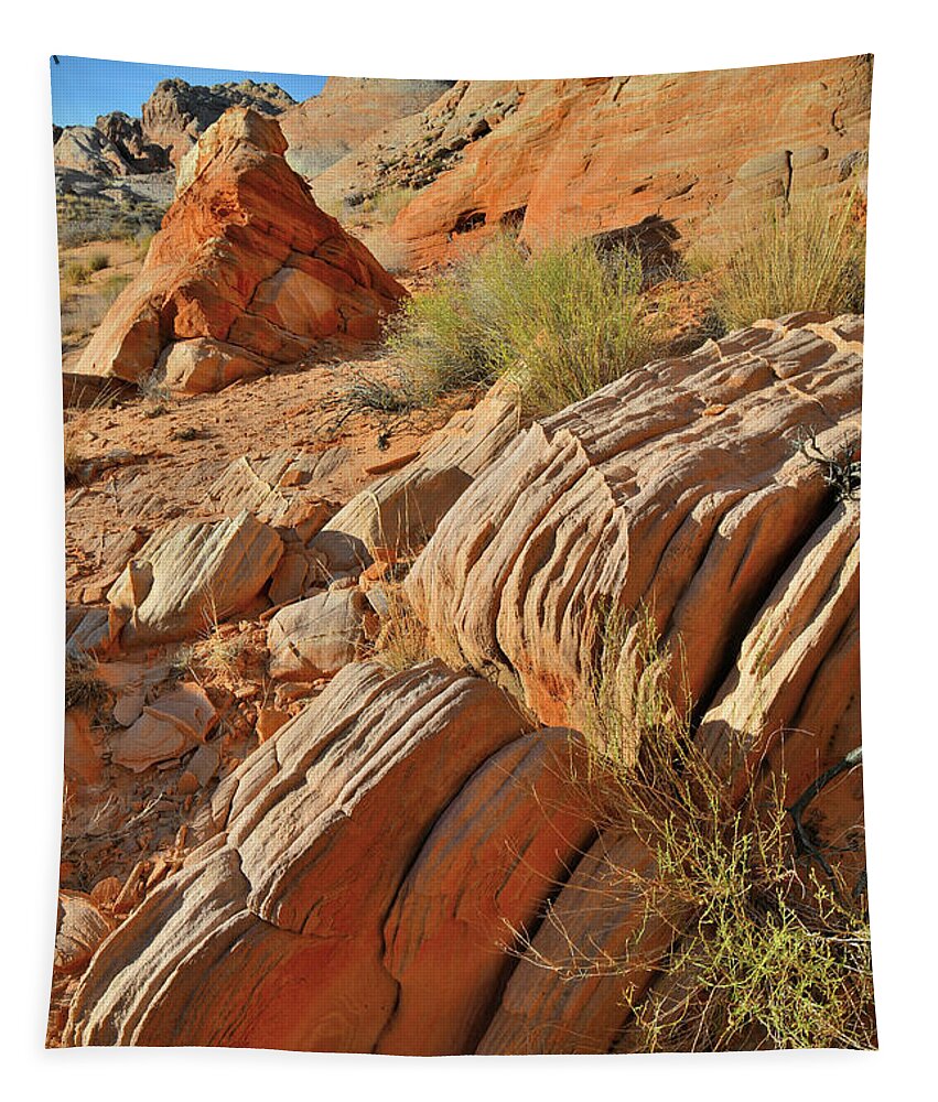 Valley Of Fire State Park Tapestry featuring the photograph Beautiful Sandstone Cove in Valley of Fire by Ray Mathis