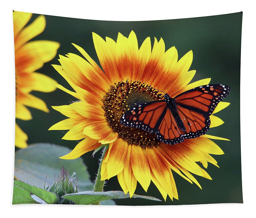 Flowers Tapestry featuring the photograph Beautiful Sunflower with Monarch Butterfly by Trina Ansel