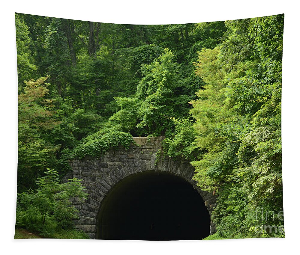 Tunnel Tapestry featuring the photograph Beautiful Tunnel with Greenery, NC by Adrian De Leon Art and Photography