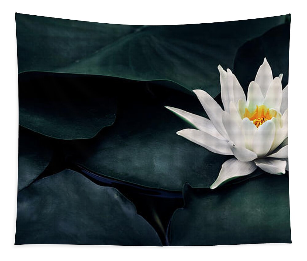 Lotus Tapestry featuring the photograph Beautiful white lotus flower closeup. Exotic water lily flower o by Jelena Jovanovic