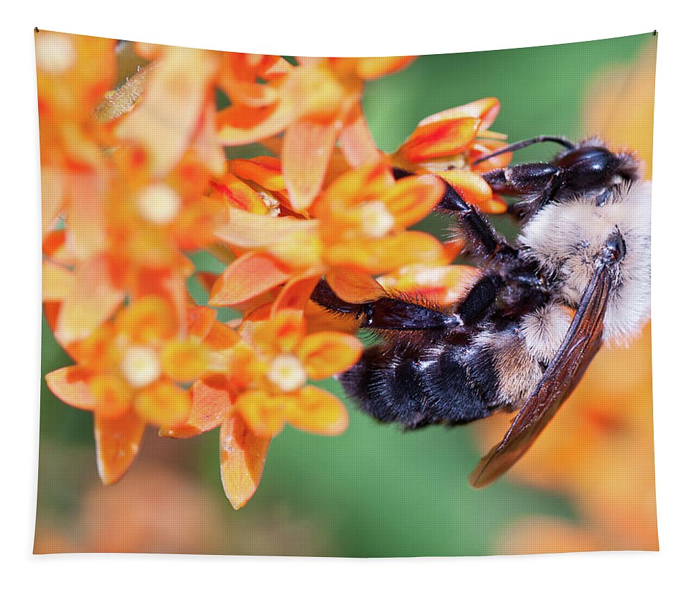 Flower Tapestry featuring the photograph Bee by Minnie Gallman