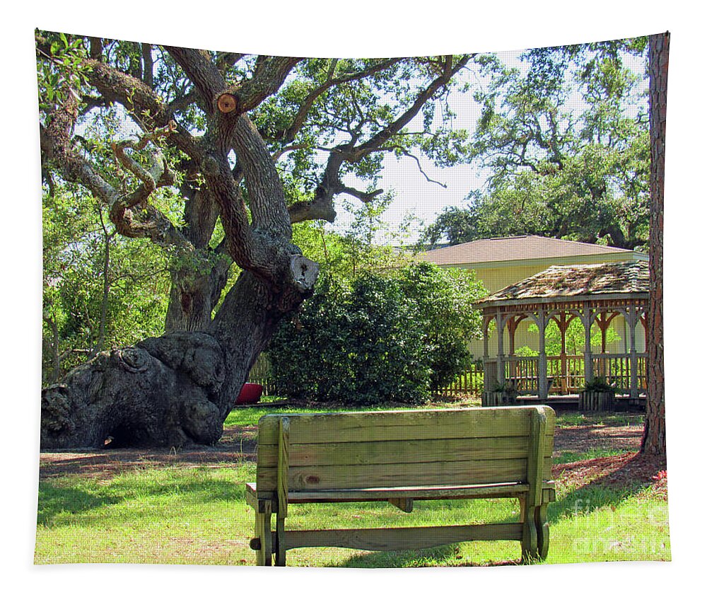Old Tree Tapestry featuring the photograph Been Here Awhile Tree in Park by Roberta Byram