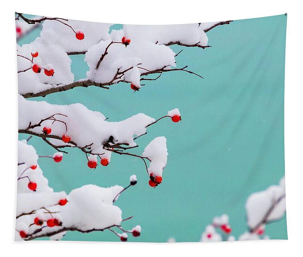 Turquoise Tapestry featuring the photograph Berries and Cream by Terri Hart-Ellis