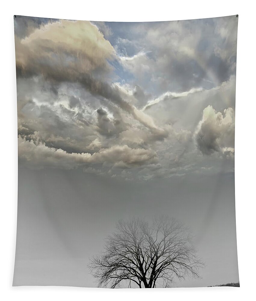 Evie Carrier Tapestry featuring the photograph Big Sky One Tree by Evie Carrier