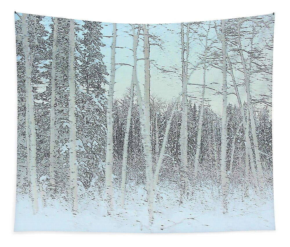 Birches Tapestry featuring the photograph Birches in Snow by Minnie Gallman
