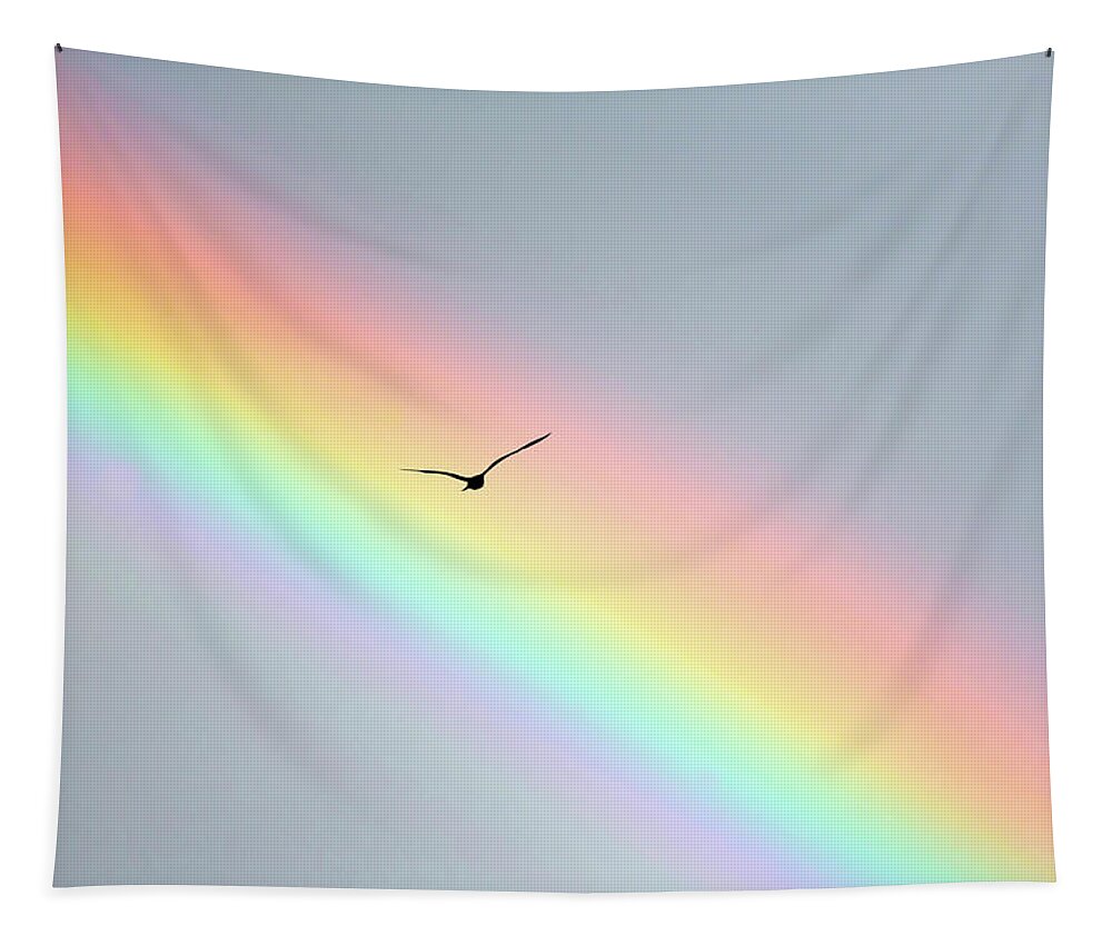 Rainbow Tapestry featuring the photograph Bird Bow by Sean Davey