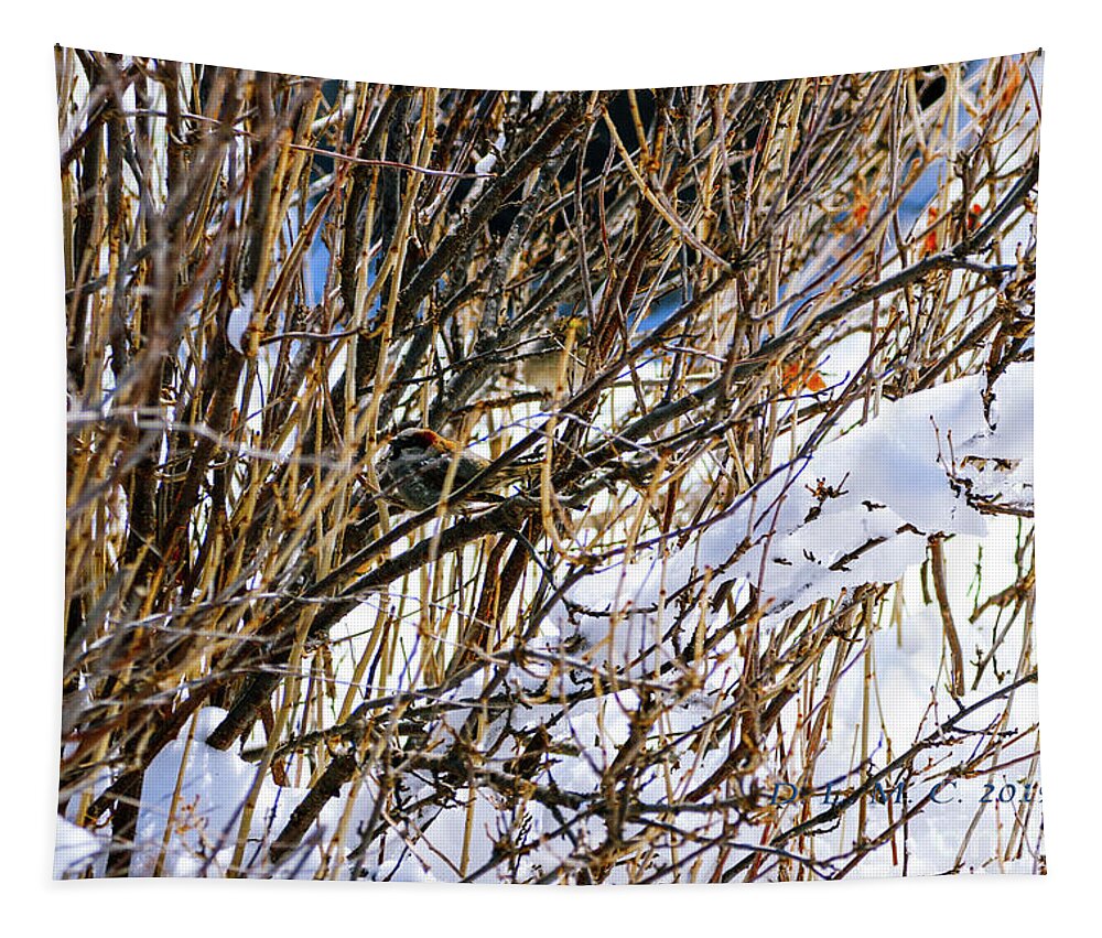 Bird Tapestry featuring the photograph Bird in Sand Cherry by Donna L Munro