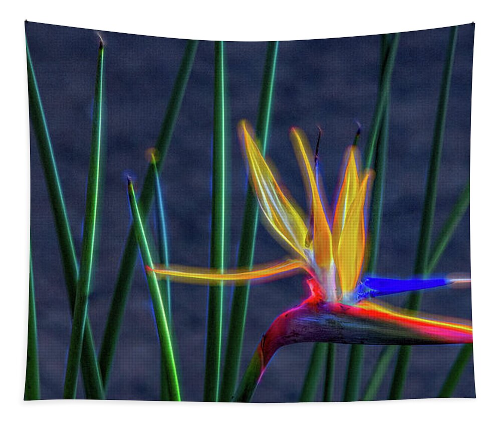 Bird Of Paradise Tapestry featuring the photograph Bird of Paradise, Electrified Abstract by Marcy Wielfaert