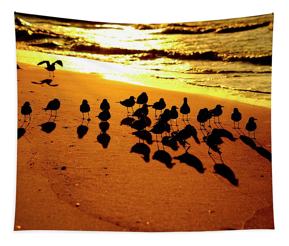 Beach Tapestry featuring the photograph Bird Shadows by Tom Gresham