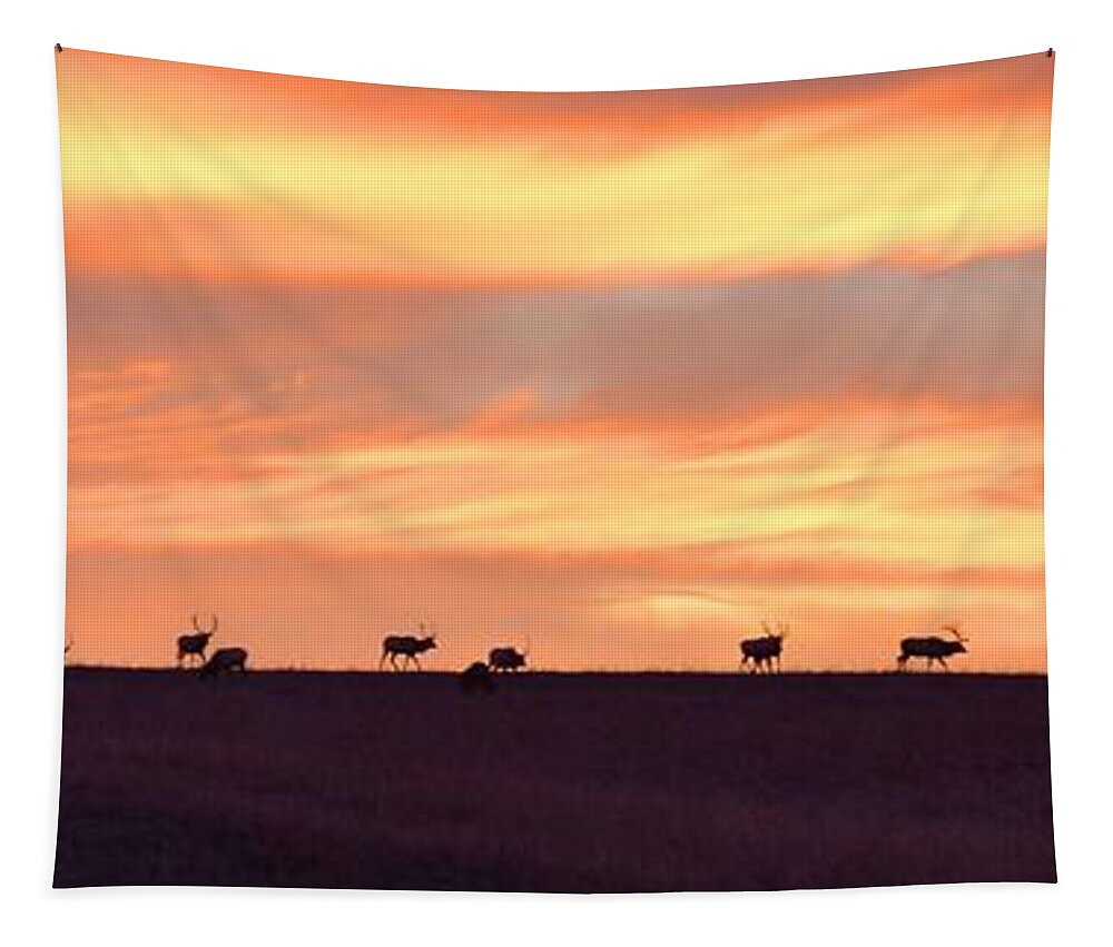 Bison Tapestry featuring the photograph Bison Elk Panorama by Keith Stokes