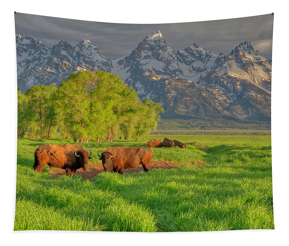 Bison Tapestry featuring the photograph Bison Morning 2011-06 01 by Jim Dollar