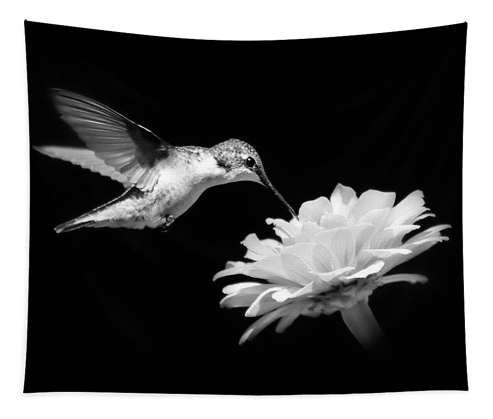 Hummingbird Tapestry featuring the photograph Black and White Hummingbird and Flower by Christina Rollo