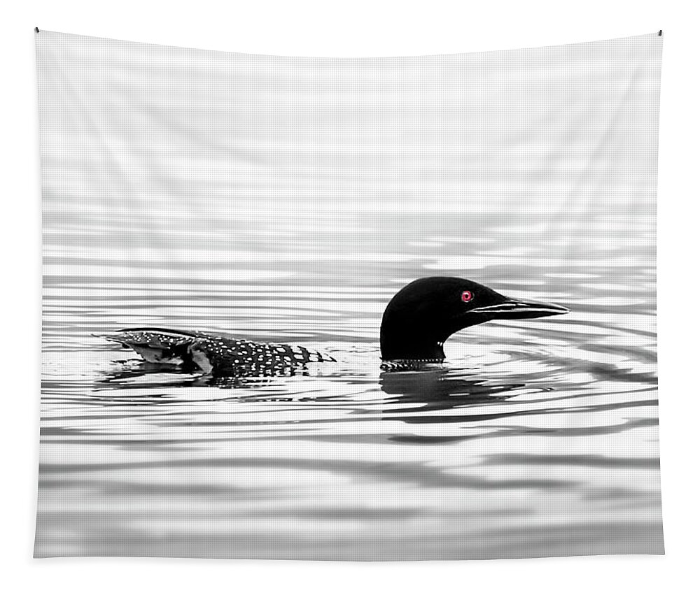 Loon Tapestry featuring the photograph Black And White Loon by Christina Rollo