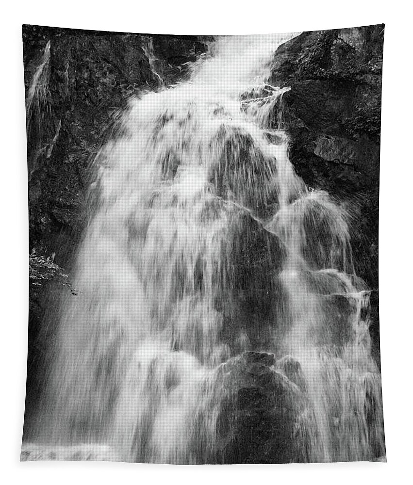 Tennessee Tapestry featuring the photograph Black And White Waterfall by Phil Perkins
